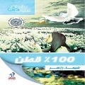 Cover-Bild zum Titel '100% cotton' von 'Shaimaa Zaher'