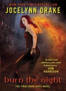 Cover-Bild zum Titel 'Burn the Night' von 'Jocelynn Drake'