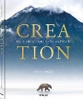 Cover-Bild zum Titel 'Creation' von 'Harry Skeggs'