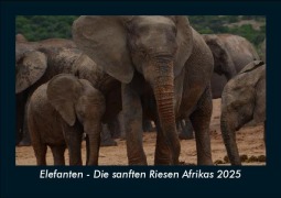 Cover-Bild zum Titel 'Elefanten - Die sanften Riesen Afrikas 2025 Fotokalender DIN A5' von 'Tobias Becker'