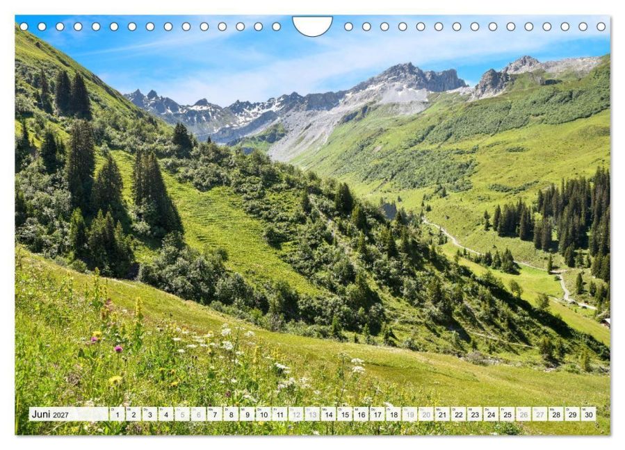 InsideView 11