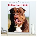Bulldoggen-Gesichter (hochwertiger Premium Wandkalender 2025 DIN A2 hoch), Kunstdruck in Hochglanz - Elisabeth Stanzer