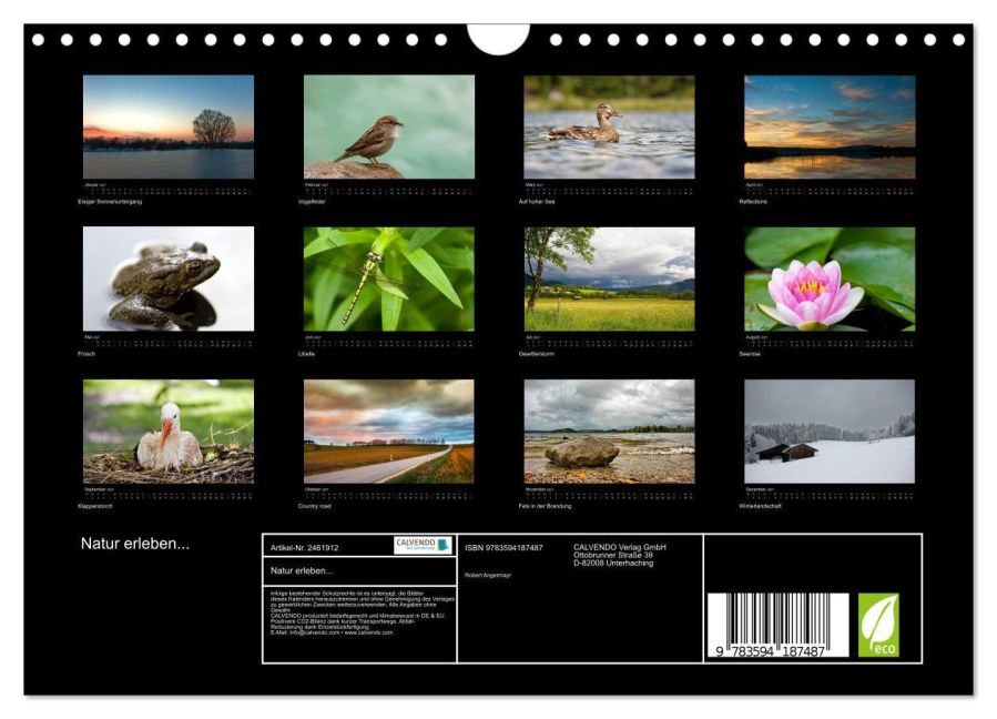 InsideView 5