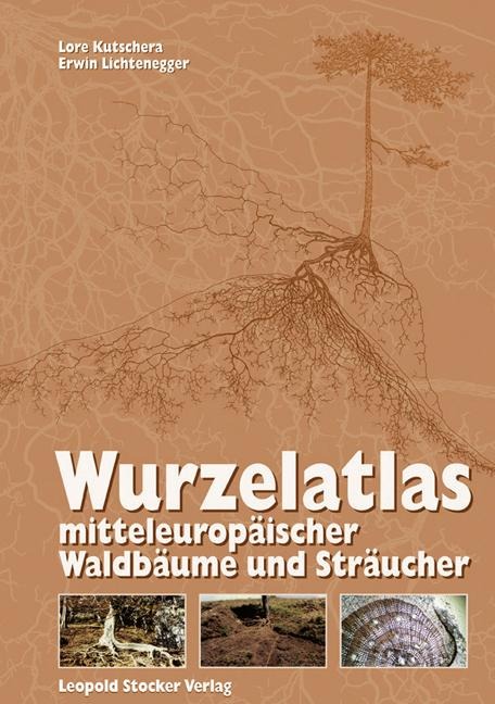 Wurzelatlas mitteleuropäischer Waldbäume und Sträucher - Lore Kutschera, Erwin Lichtenegger
