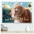 Das wunderbare Sein (hochwertiger Premium Wandkalender 2025 DIN A2 quer), Kunstdruck in Hochglanz - Viktor Gross