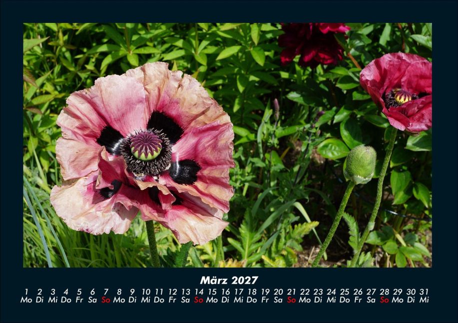 InsideView 7
