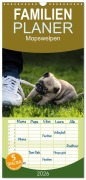 Familienplaner 2026 - Mopswelpen mit 5 Spalten (Wandkalender, 21 x 45 cm) CALVENDO - Ole Dodeck