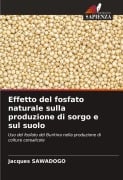 Effetto del fosfato naturale sulla produzione di sorgo e sul suolo - Jacques Sawadogo