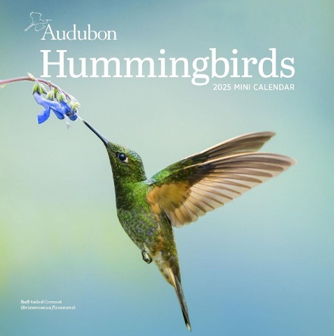 Audubon Hummingbirds Mini Wall Calendar 2025 - National Audubon Society, Workman Calendars