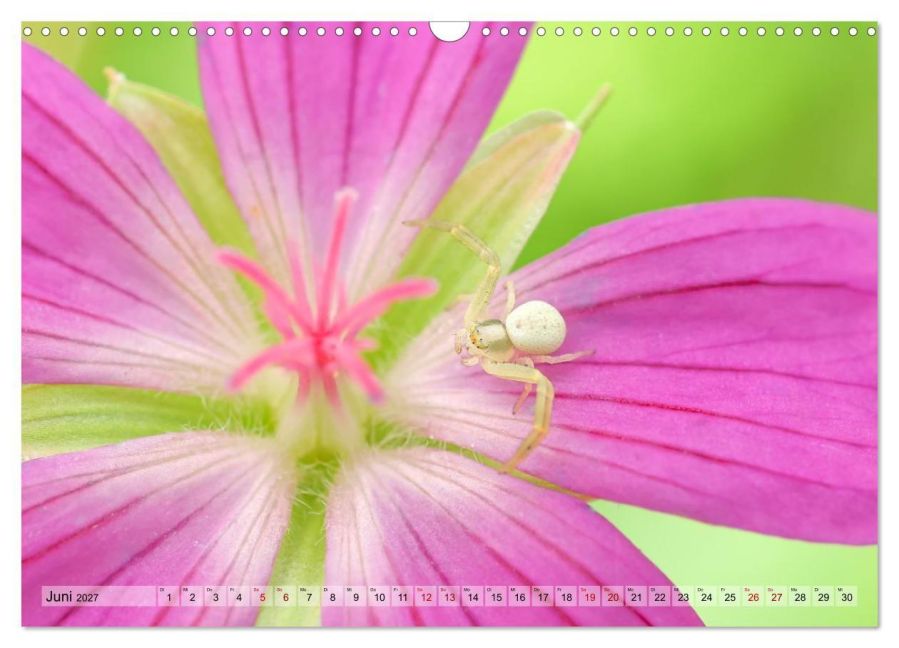 InsideView 11
