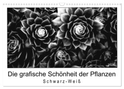Cover-Bild zum Titel 'Die grafische Schönheit der Pflanzen - Schwarz-Weiß (Wandkalender 2026 DIN A3 quer), CALVENDO Monatskalender' von 'Beate Wurster'