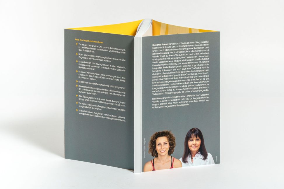 InsideView 6
