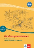 Cover-Bild zum Titel 'Caminos gramaticales B1. Heft und Audio-CD mit Lösungen' von ''