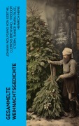 Cover-Bild zum Titel 'Gesammelte Weihnachtsgedichte' von 'Johann Wolfgang von Goethe, Joachim Ringelnatz, Heinrich Seidel, Kurt Tucholsky, Anna Ritter'