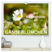 Auf Augenhöhe mit Gänseblümchen (hochwertiger Premium Wandkalender 2026 DIN A2 quer), Kunstdruck in Hochglanz - Gisela Kruse