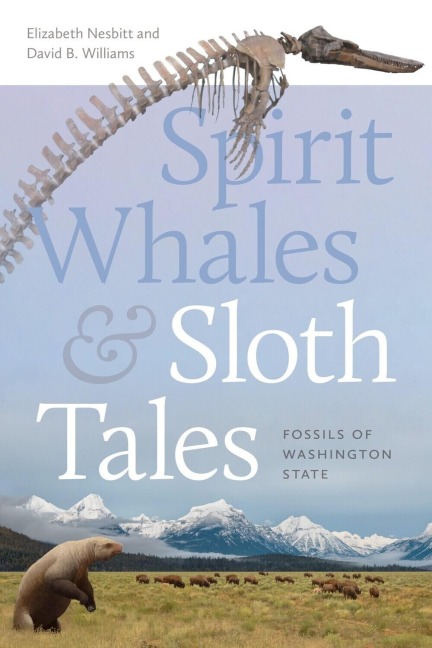 Spirit Whales and Sloth Tales - Elizabeth A Nesbitt, David B Williams