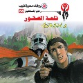 Cover-Bild zum Titel 'Falcon Castle' von 'Nabil Farouk'