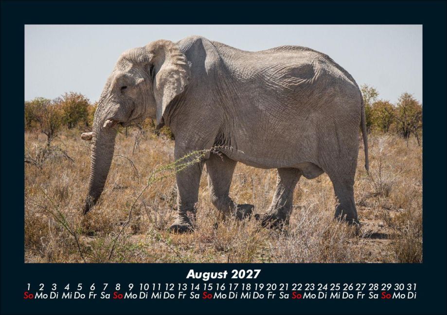 InsideView 12