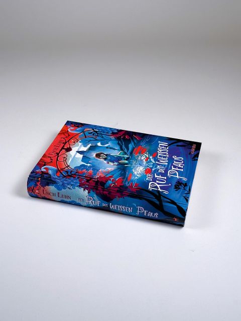 InsideView 4