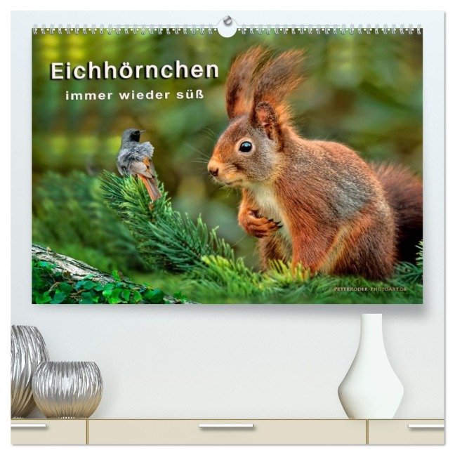 Eichhörnchen - immer wieder süß (hochwertiger Premium Wandkalender 2026 DIN A2 quer), Kunstdruck in Hochglanz - Peter Roder