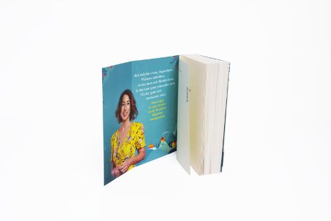 InsideView 5