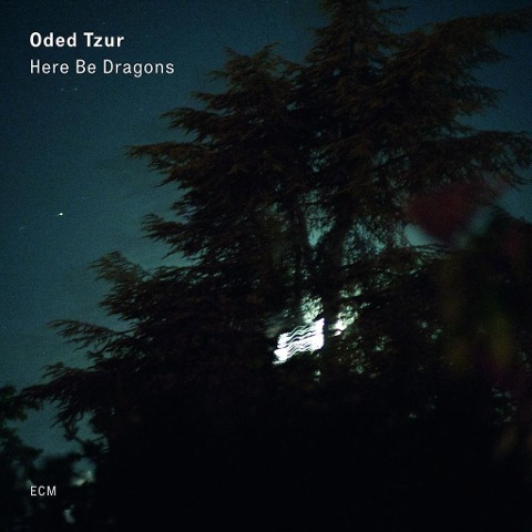 Here Be Dragons - Oded Tzur