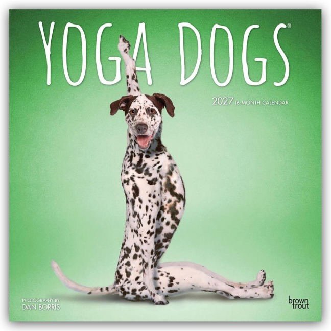 Yoga Dogs - Hunde Yoga 2027 - 16-Monatskalender - Browntrout Publishers