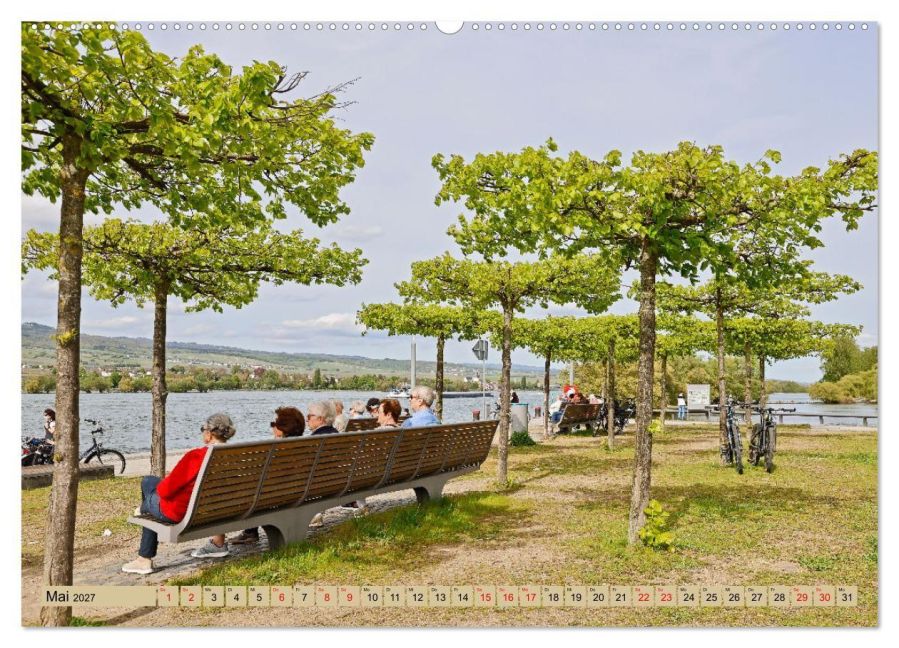 InsideView 10