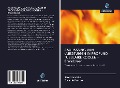 Cover-Bild zum Titel 'AANPASSING VAN VLIEGTUIGEN IN PROFUND TUBULAIRE KOOLEN - Brandweer' von 'Jerônimo Silva, Eduardo Branco'