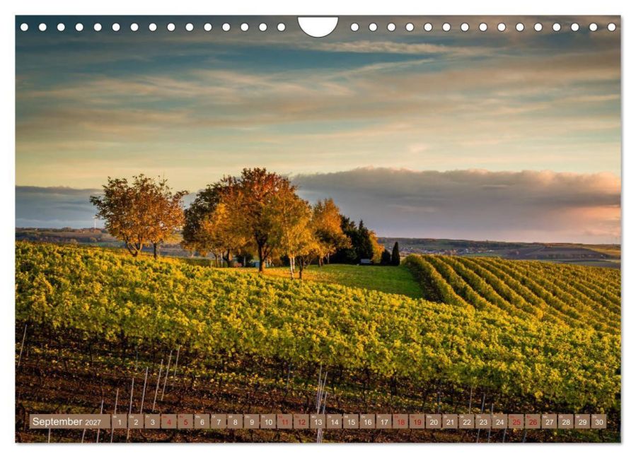 InsideView 14