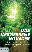 Cover-Bild zum Titel 'Das vergessene Wunder' von 'Jörg Romstötter'