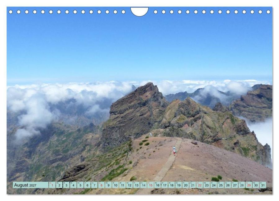 InsideView 13