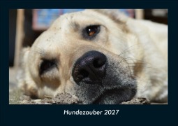 Cover-Bild zum Titel 'Hundezauber 2027 Fotokalender DIN A4' von 'Tobias Schmitt, Kevin Heber'