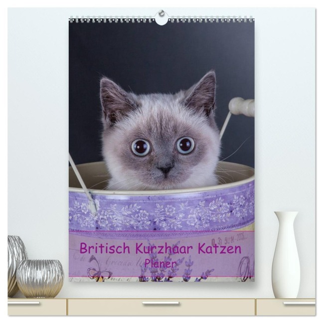 Britisch Kurzhaar Katzen - Planer (hochwertiger Premium Wandkalender 2026 DIN A2 hoch), Kunstdruck in Hochglanz - Gabriela Wejat-Zaretzke