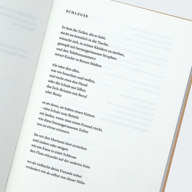 InsideView 3
