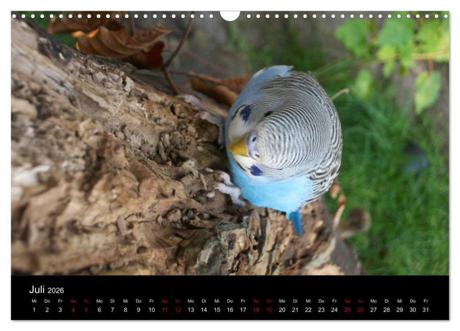 InsideView 12