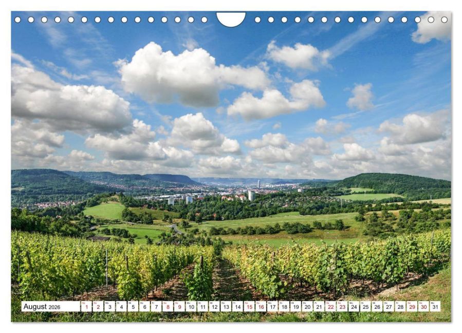 InsideView 13