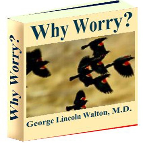 Why Worry - George Lincoln Walton