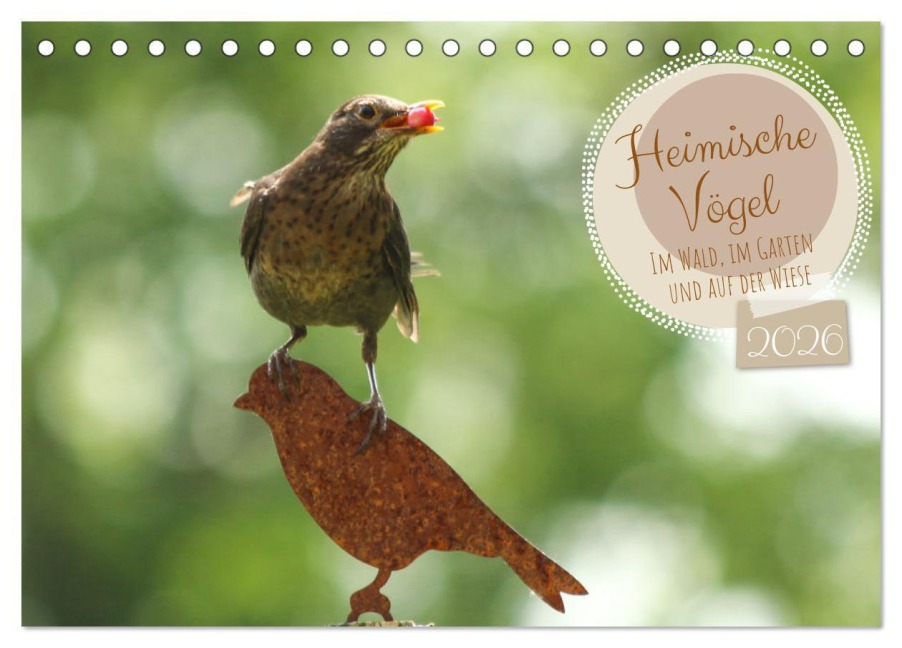Heimische Vögel - Im Wald, im Garten und auf der Wiese (Tischkalender 2026 DIN A5 quer), CALVENDO Monatskalender - Angela Merk