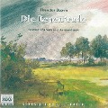 Cover-Bild zum Titel 'Die Regentrude' von 'Theodor Storm'