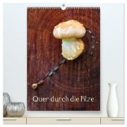 Cover-Bild zum Titel 'Quer durch die Pilze (hochwertiger Premium Wandkalender 2026 DIN A2 hoch), Kunstdruck in Hochglanz' von 'Clemens Stenner'