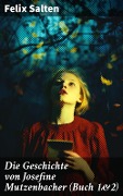 Cover-Bild zum Titel 'Die Geschichte von Josefine Mutzenbacher (Buch 1&2)' von 'Felix Salten'