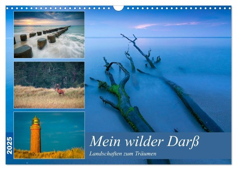 Mein wilder Darß - Landschaften zum Träumen (Wandkalender 2025 DIN A3 quer), CALVENDO Monatskalender - Martin Wasilewski