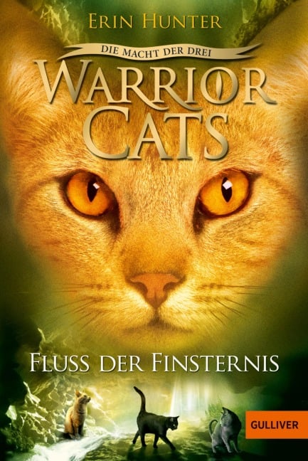 Warrior Cats Staffel 03/2. Die Macht der Drei. Der Fluss der Finsternis - Erin Hunter
