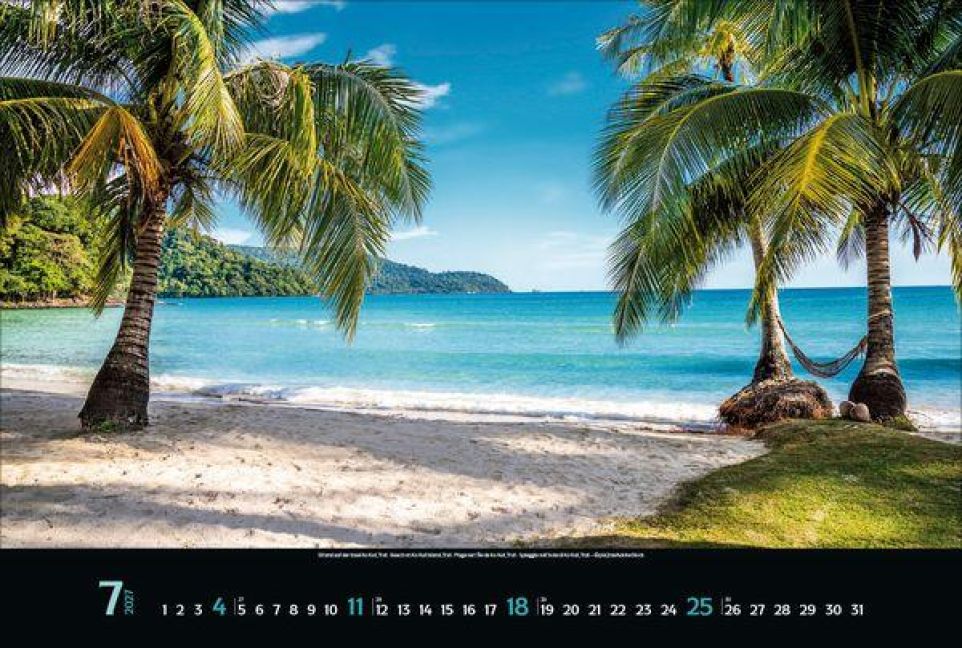 InsideView 7