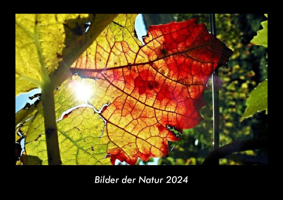 Bilder der Natur 2024 Fotokalender DIN A3 - Tobias Becker