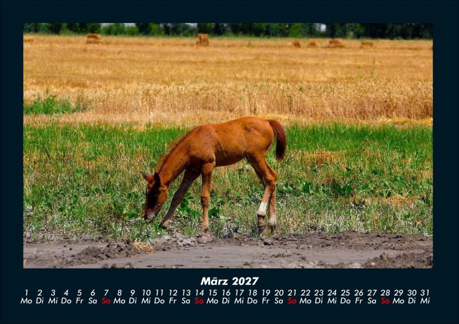 InsideView 7