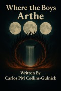 Cover-Bild zum Titel 'Where the Boys Arthe' von 'Carlos Collins-Gulnick'