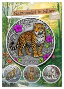 Cover-Bild zum Titel 'Katzenadel in Silber (Wandkalender 2027 DIN A3 hoch), CALVENDO Monatskalender' von 'Kerstin Waurick'