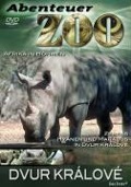 Abenteuer Zoo - 